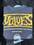 Olympia 2025 Grunge Raw Hem Box Cut Tee Nirvana Gray