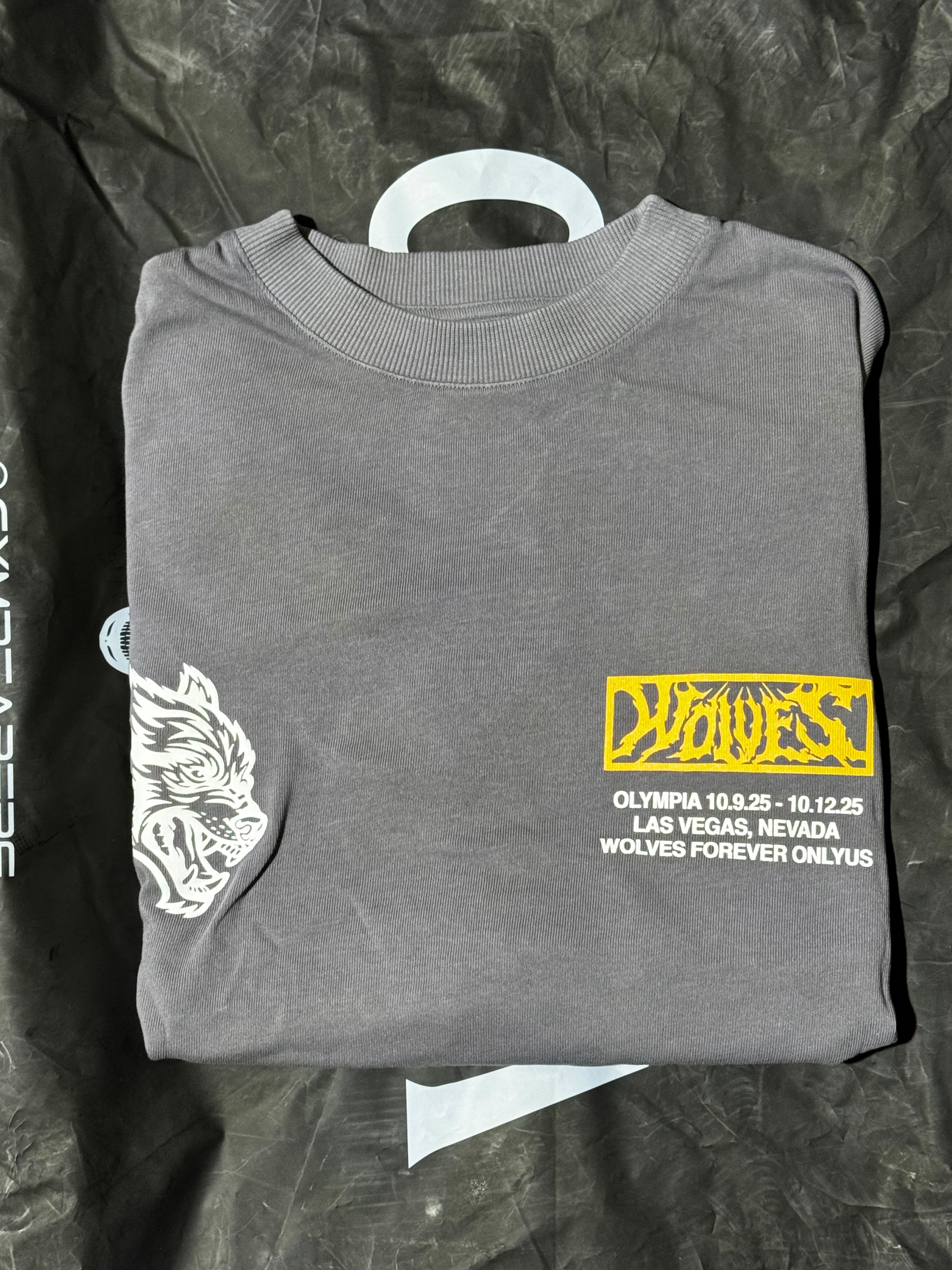 Olympia 2025 Grunge Raw Hem Box Cut Tee Nirvana Gray